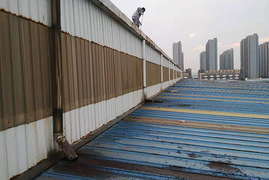 秋葵视频在线观看免费播放在线观看屋面定期清理秋葵视频污导航屋面