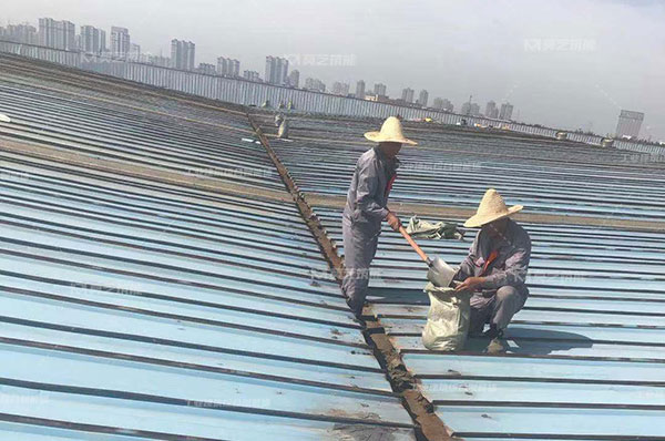 秋葵视频在线观看免费播放在线观看生锈了怎么办，翻新需要打磨吗？