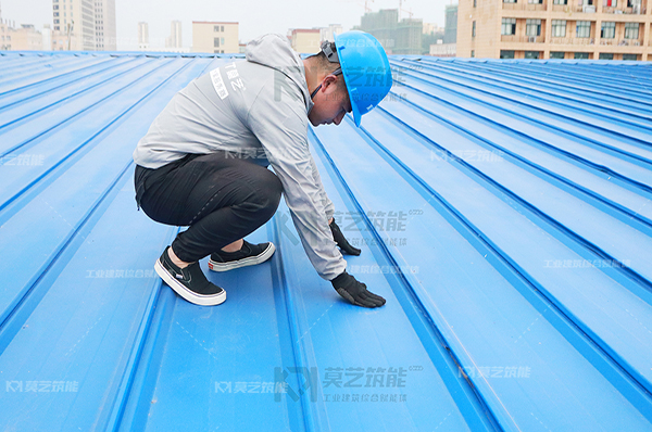 秋葵视频在线观看免费播放在线观看翻新后检验