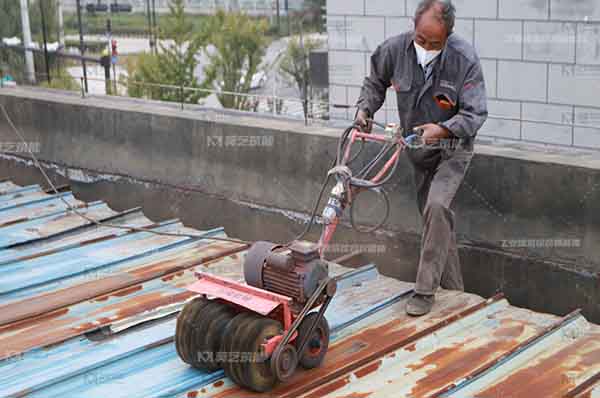 秋葵视频在线观看免费播放在线观看翻新打磨